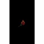 Squad goals ✨  Whatsapp Group Link Join